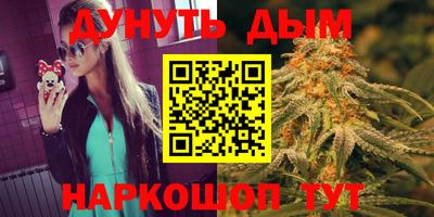 mdpv Гатчина