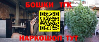 mdpv Гатчина