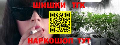 mdpv Гатчина